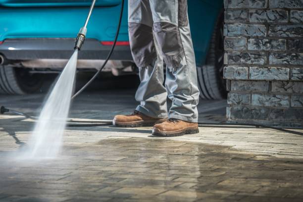 Boat and Dock Cleaning in Willow Oak, FL