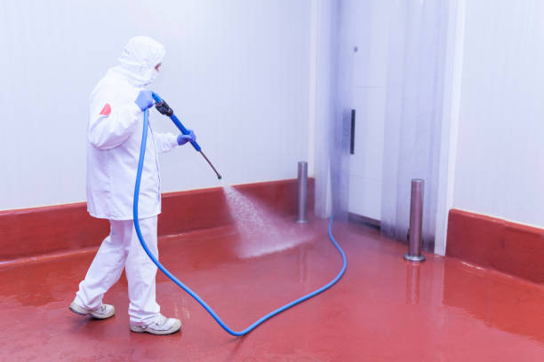 Best Parking Lot and Garage Cleaning  in Willow Oak, FL