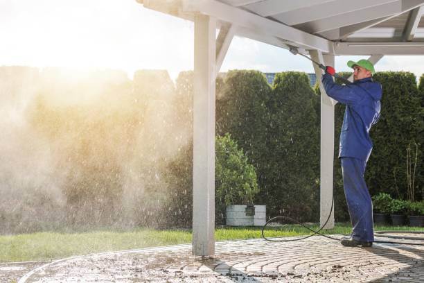 Best Patio and Deck Pressure Washing  in Willow Oak, FL