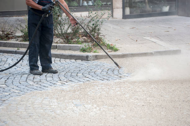 Best Spring Cleaning  in Willow Oak, FL