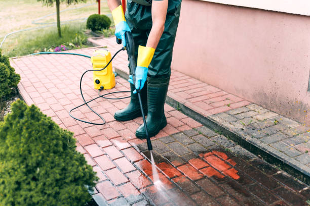 Best Dumpster Area Cleaning  in Willow Oak, FL