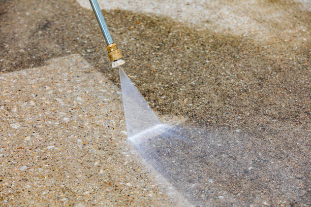 Best Rust Removal  in Willow Oak, FL