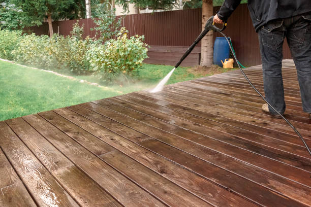 Professional Pressure Washing in Willow Oak, FL
